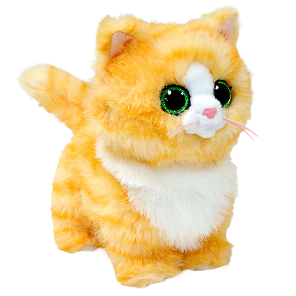 Plüschtier, Katze, orange, grüne Augen, flauschig