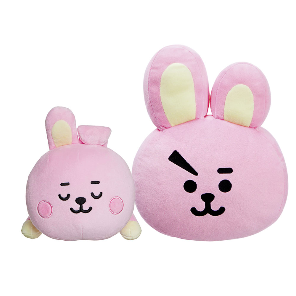 Produkt Abbildung bt21_cooky_kissen_2fach_sortiert.jpg