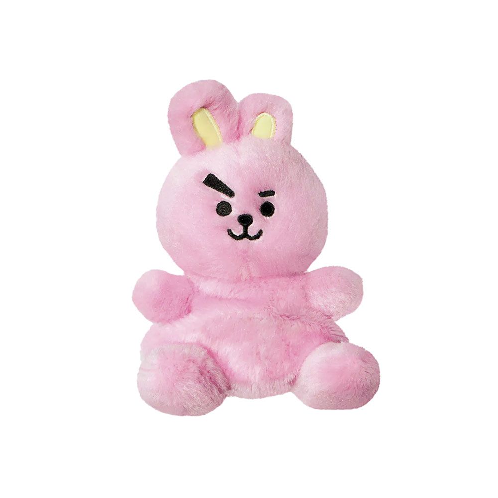 Produkt Abbildung aurora_bt21_palm_pal_cooky.jpg